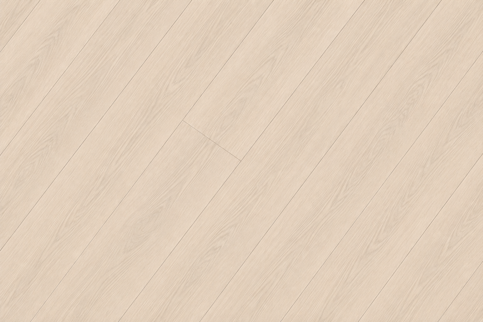 Canyon Oak